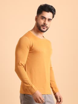 PREMIUM ROUND NECK FULL SLEEVE RIB T-SHIRT WITH GRIP-MBROWN