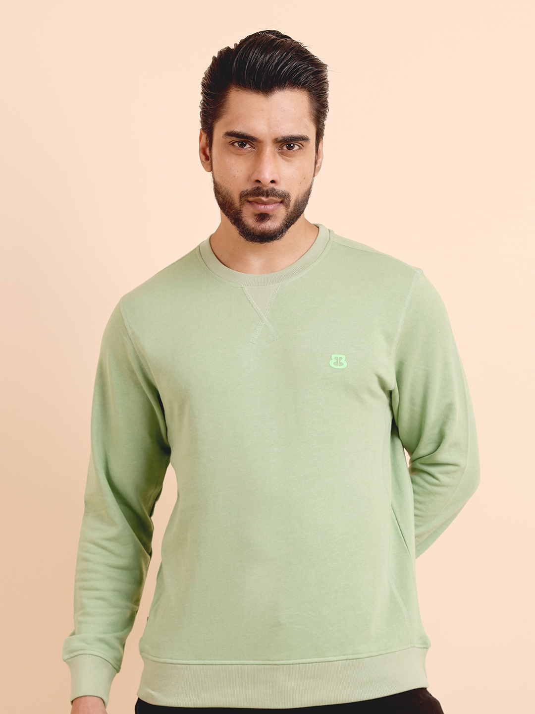 BASIC PREMIUM LOOPKNIT FULL SLEEVE ROUND NECK SWEAT SHIRT - PISTA